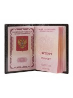 Обложка для паспорта Alliance 0-265