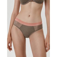 Трусы Conte Arabesque 1036 Тимьян Трусы Conte Arabesque 1036 Тимьян