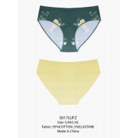Набор женских трусов 5017LUFZ
