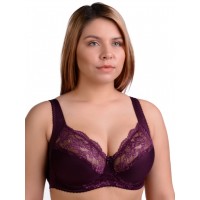 Бюстгальтер Силуэт 2018 Виноград