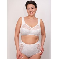 Бюстгальтер Valmira 1101 ROSE Молоко с голубым