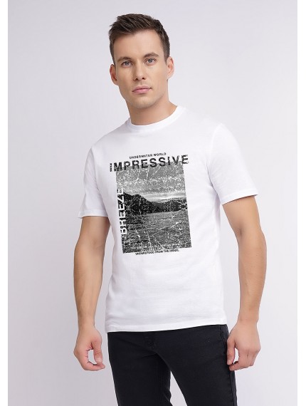 Футболка мужская ЭЙС 600311/32ккп