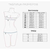 Комплект нижнего белья Indefini 3008WXY