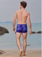 Пляжные шорты Indefini 4082YMD