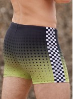 Пляжные шорты Indefini Арт.4081YMD