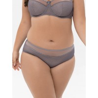 Трусы Трибуна 4148 Реверанс