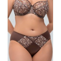 Трусы Трибуна 6431 Айриш крим