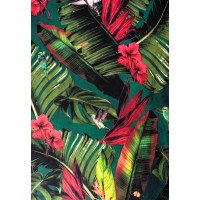 Плавки женские Marc & Andre Wild Rhythm L2616-ZP-MBB