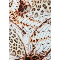 Плавки женские Marc Andre Stay Wild L2518-Z-MRS Плавки женские Marc Andre Stay Wild L2518-Z-MRS