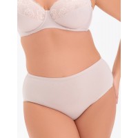 Трусы Трибуна TV1070 Серебристый пион