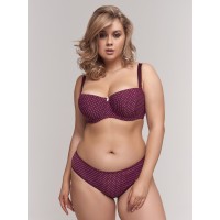 Трусы Трибуна 1114 Шарлотта