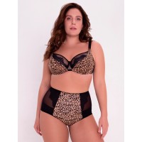 Трусы Трибуна TV1901 Энни