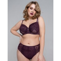 Трусы Трибуна TV5391 Черничный джем