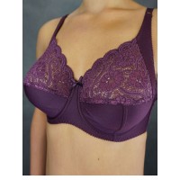 Бюстгальтер Новое Время М-035 Сливовое вино