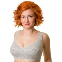 Бюстгальтер Valmira 1121 KLARA Молочная графика