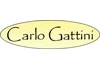 Carlo Gattini